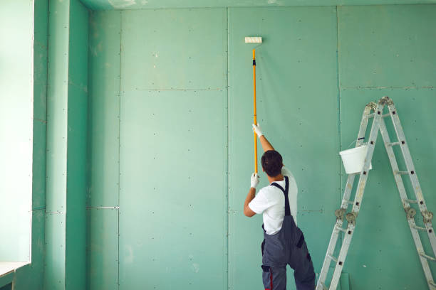 Touch-Up Painting in Basalt, CO